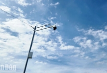 Quyết liệt ngăn chặn, giải quyết tình trạng ô nhiễm môi trường trên địa bàn tỉnh Khánh Hòa